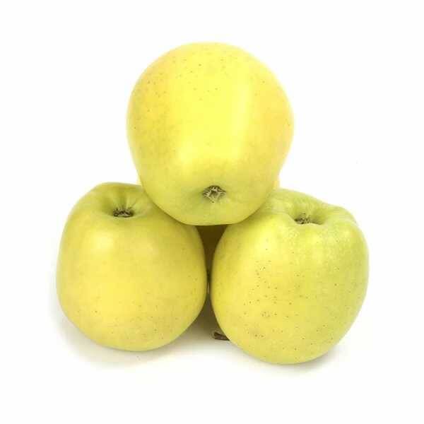 Örnek Ürün 10 - Ürün Paketi - 1